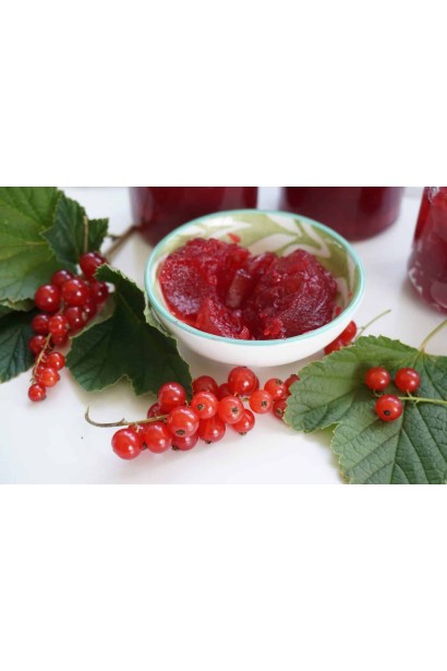 Желе з ягід смородини червоної Кияночка